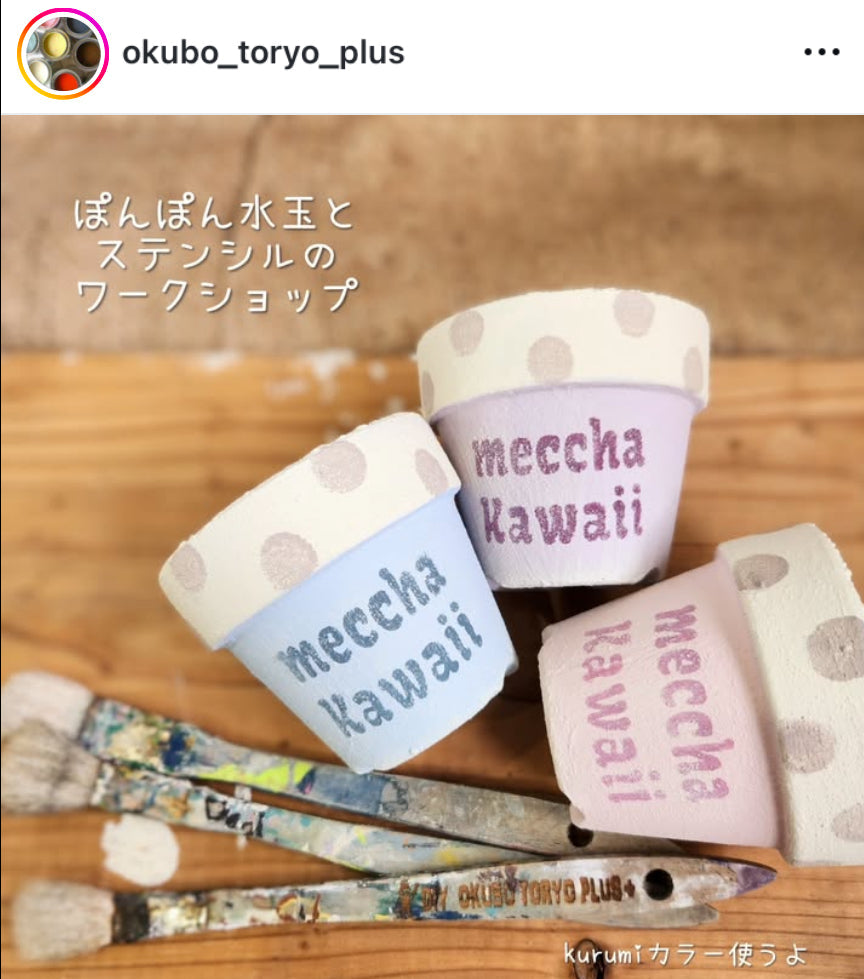 リトープスのセット 昭和記念公園のイベントにて再販します。