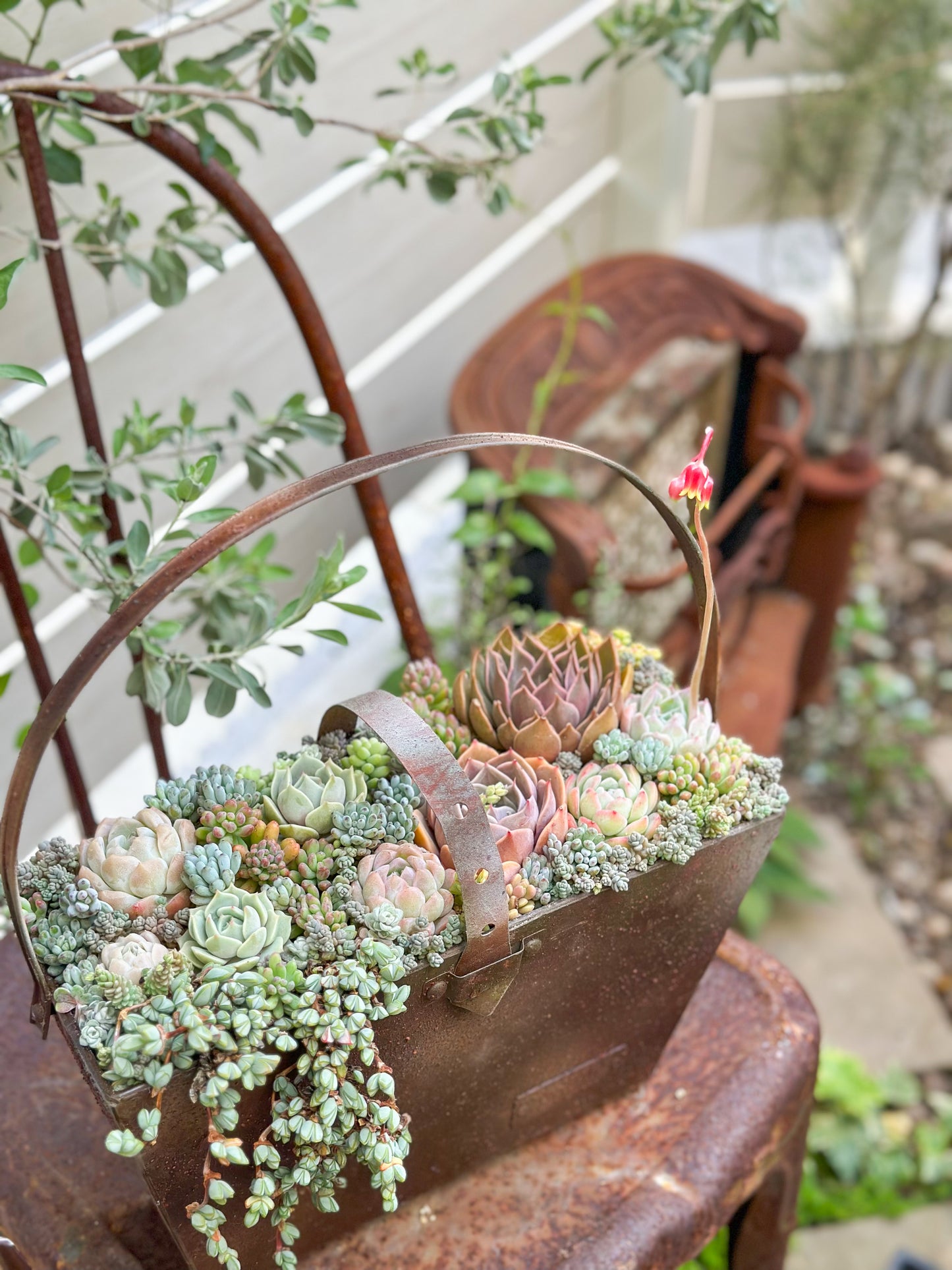 ガーデンメッセ サビバック 寄せ植えワークショップ