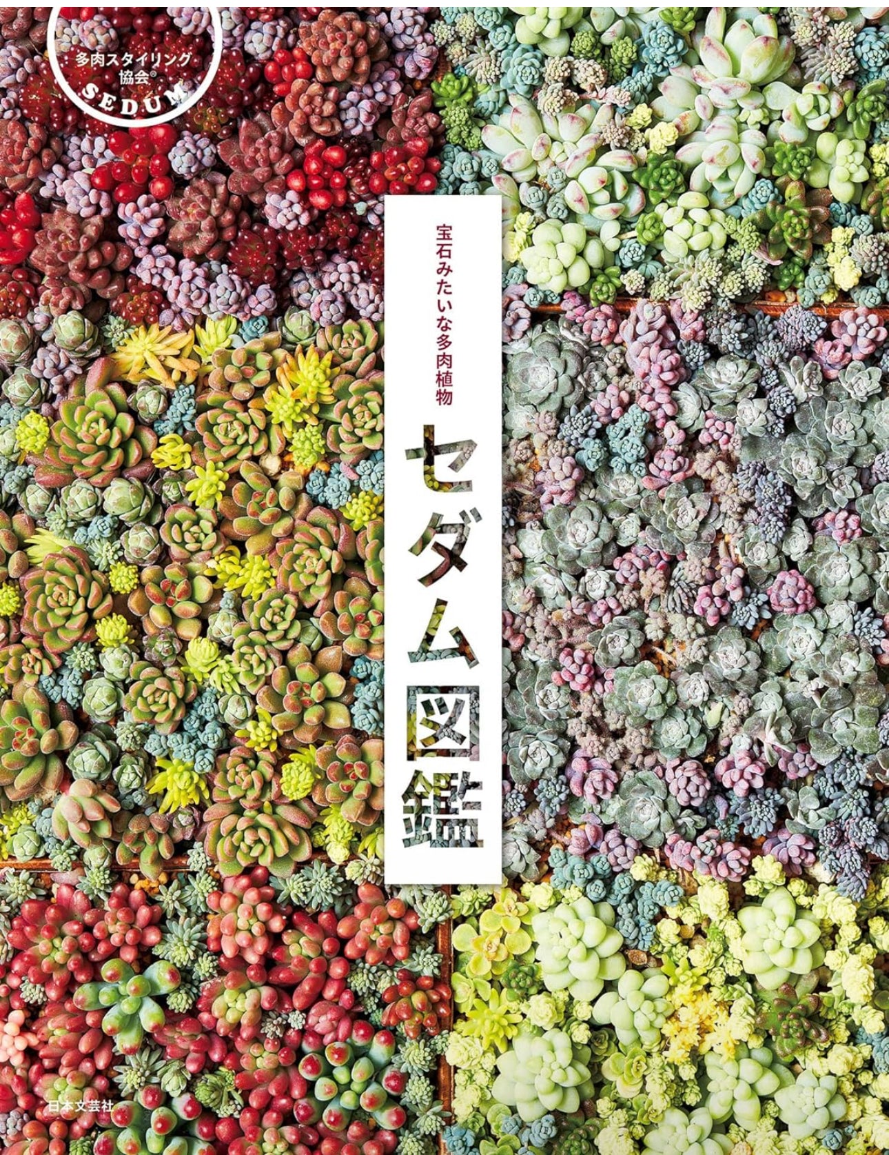 宝石みたいな多肉植物 セダム図鑑 サイン本