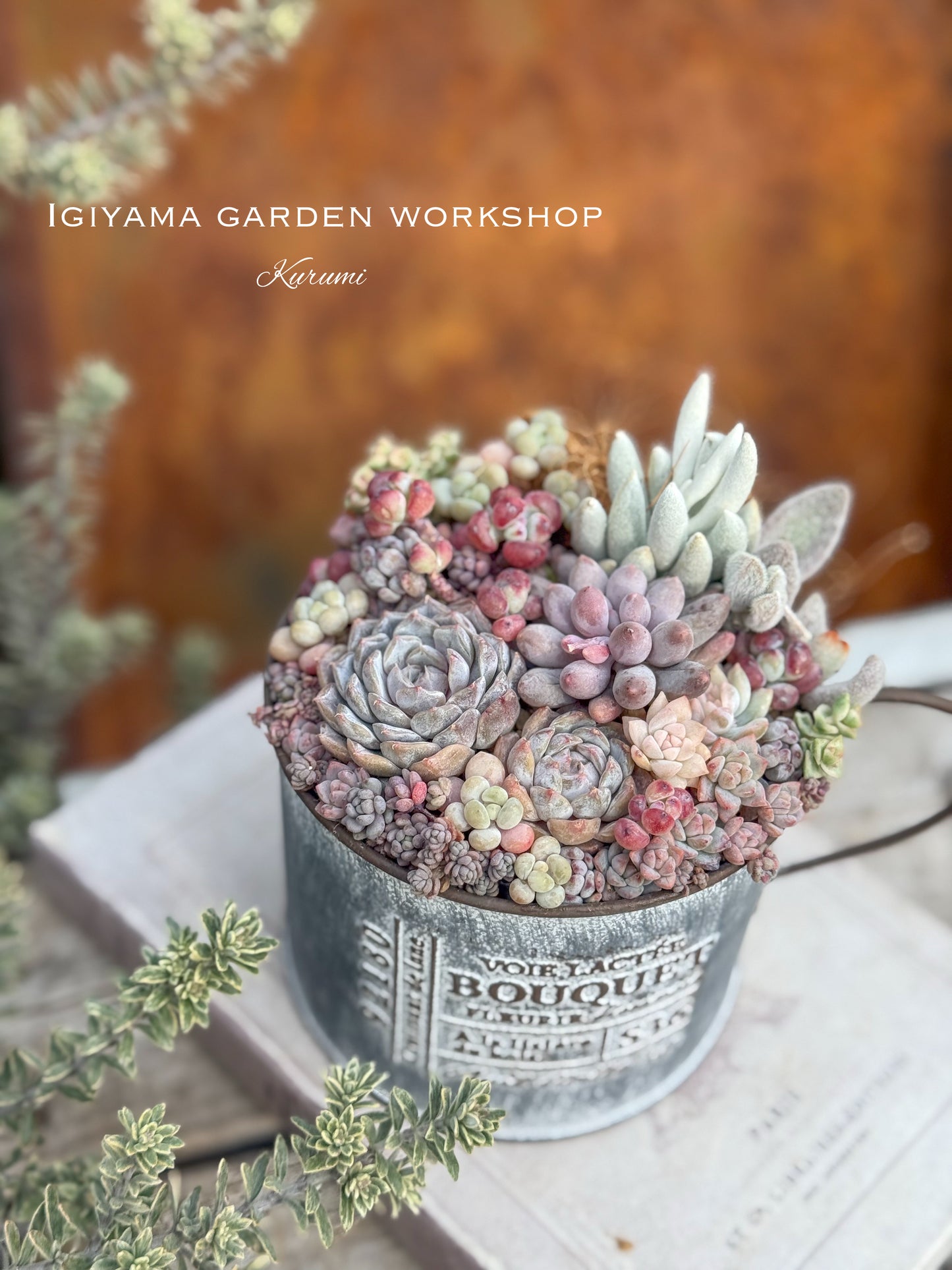 2月28日 春の息吹を感じる寄せ植えWS