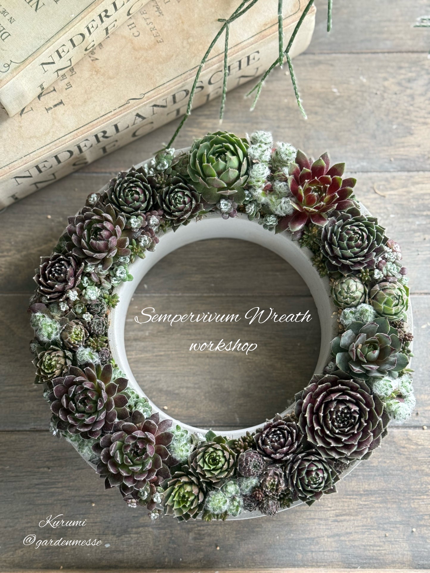 4月1日 ガーデンメッセ センペルビウムリースWS