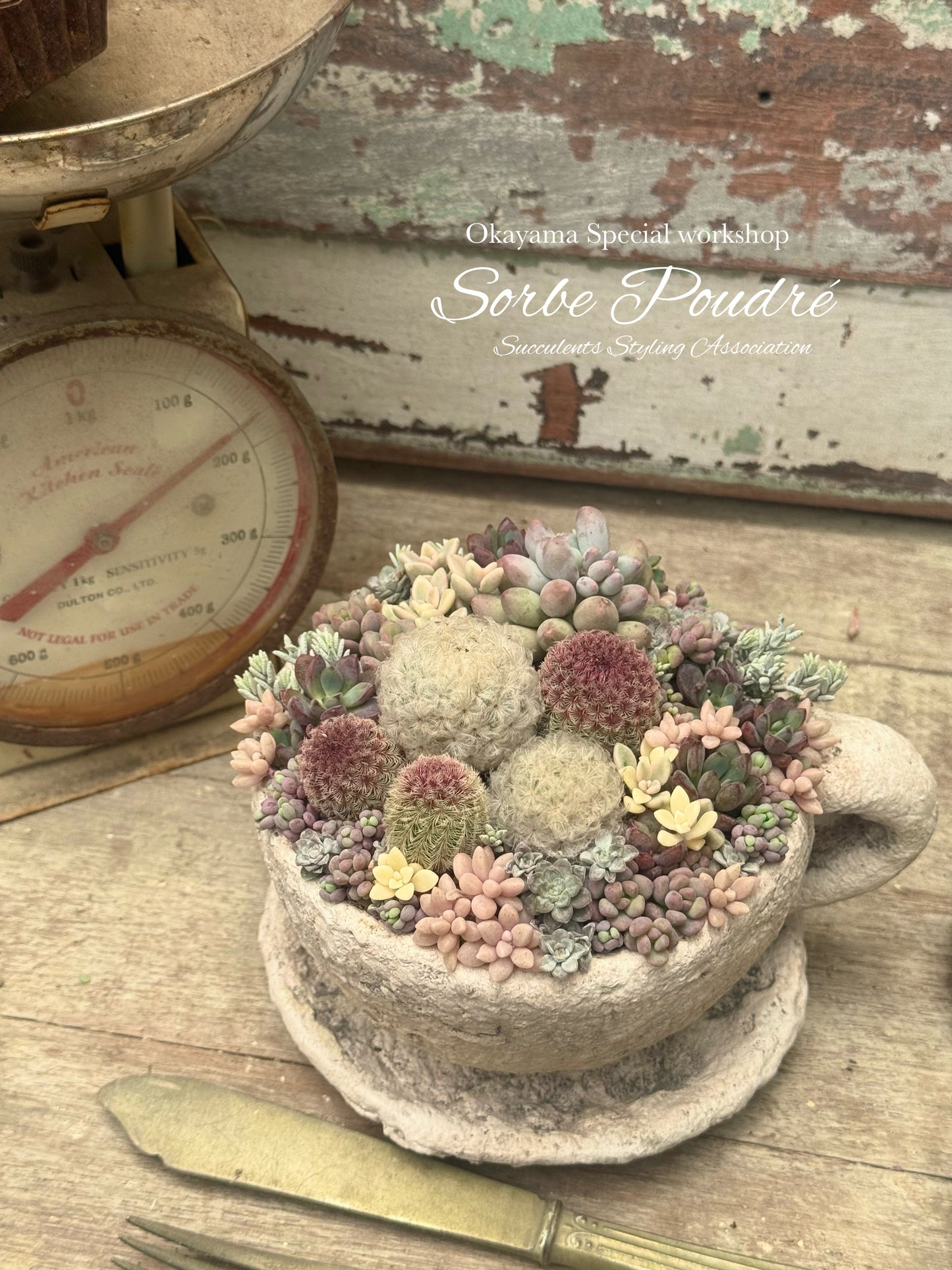 6月28日(日) Sorbe Poudre 寄せ植えWS
