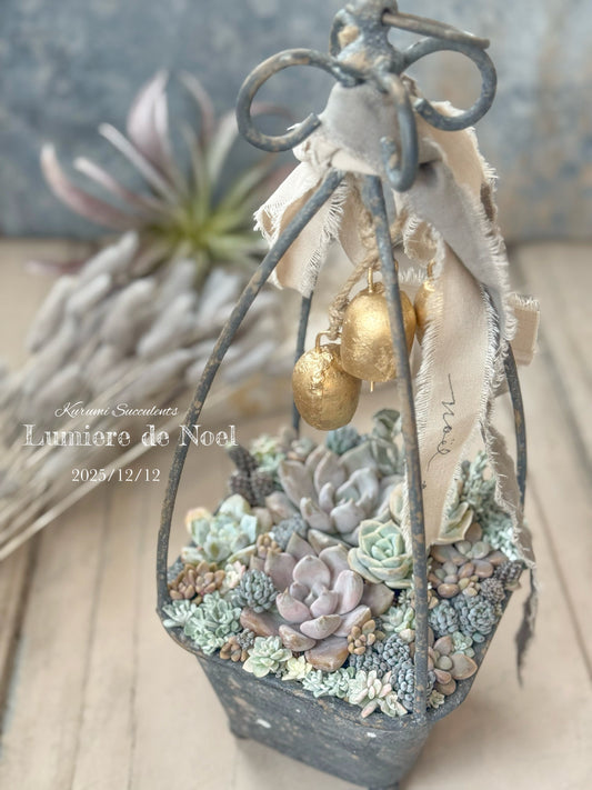 NHK学園オンライン講座募集のお知らせ