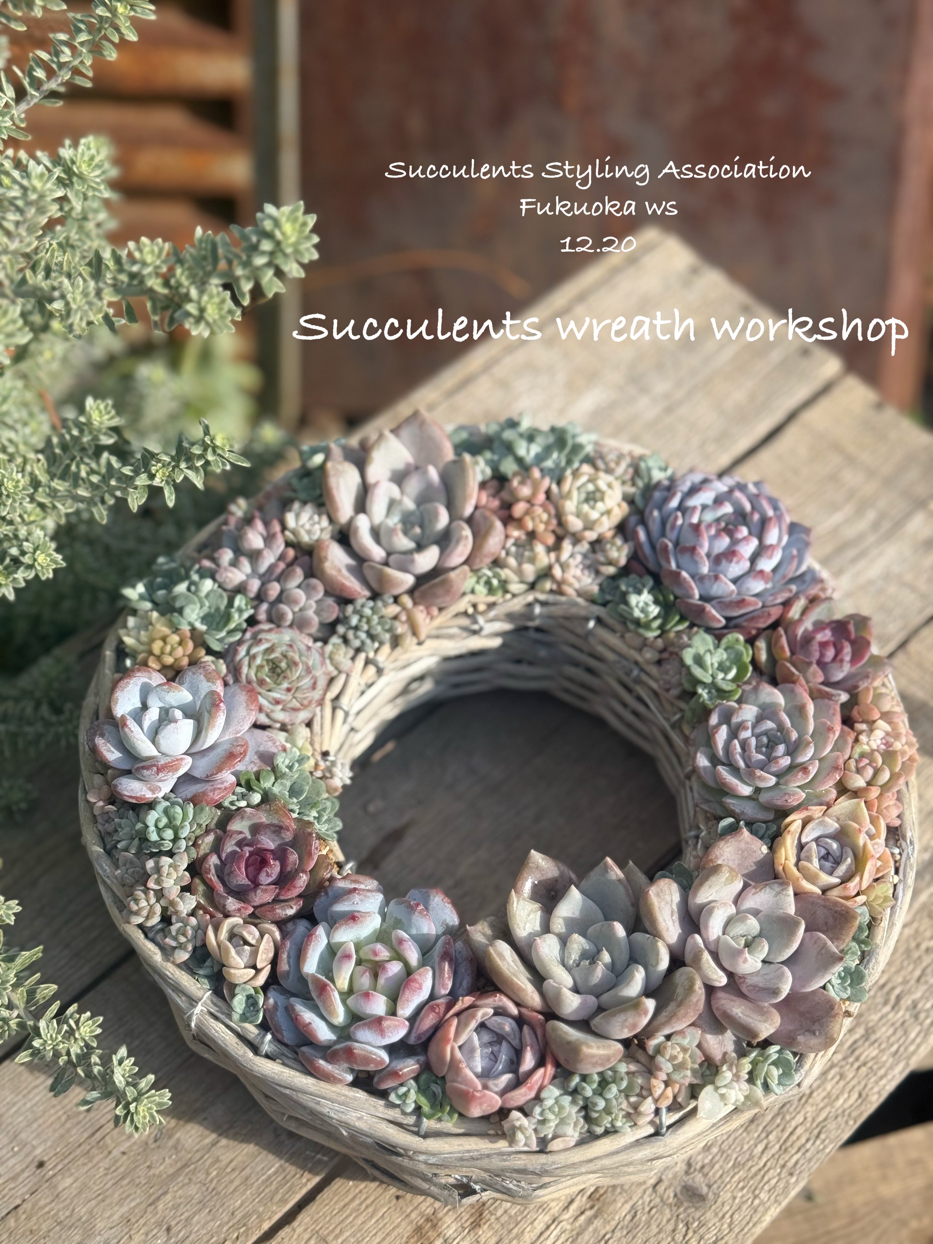 商品 – Kurumi Succulents