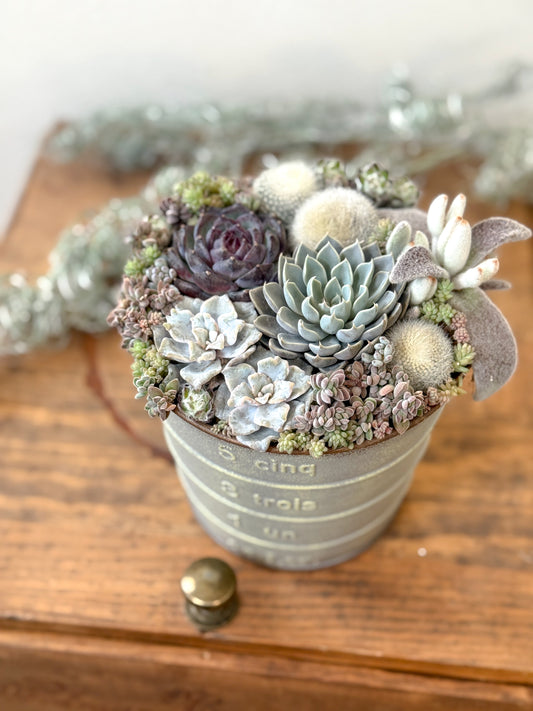 1月4日　ガーデンメッセ寄せ植え WS 冬のガーデン