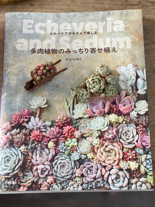 多肉植物のみっちり寄せ植え　サイン本　送料込み