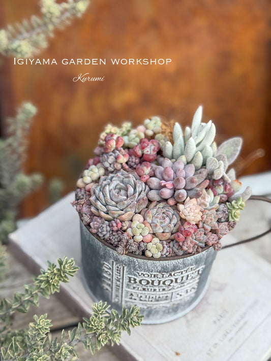 2月28日　春の息吹を感じる寄せ植えWS