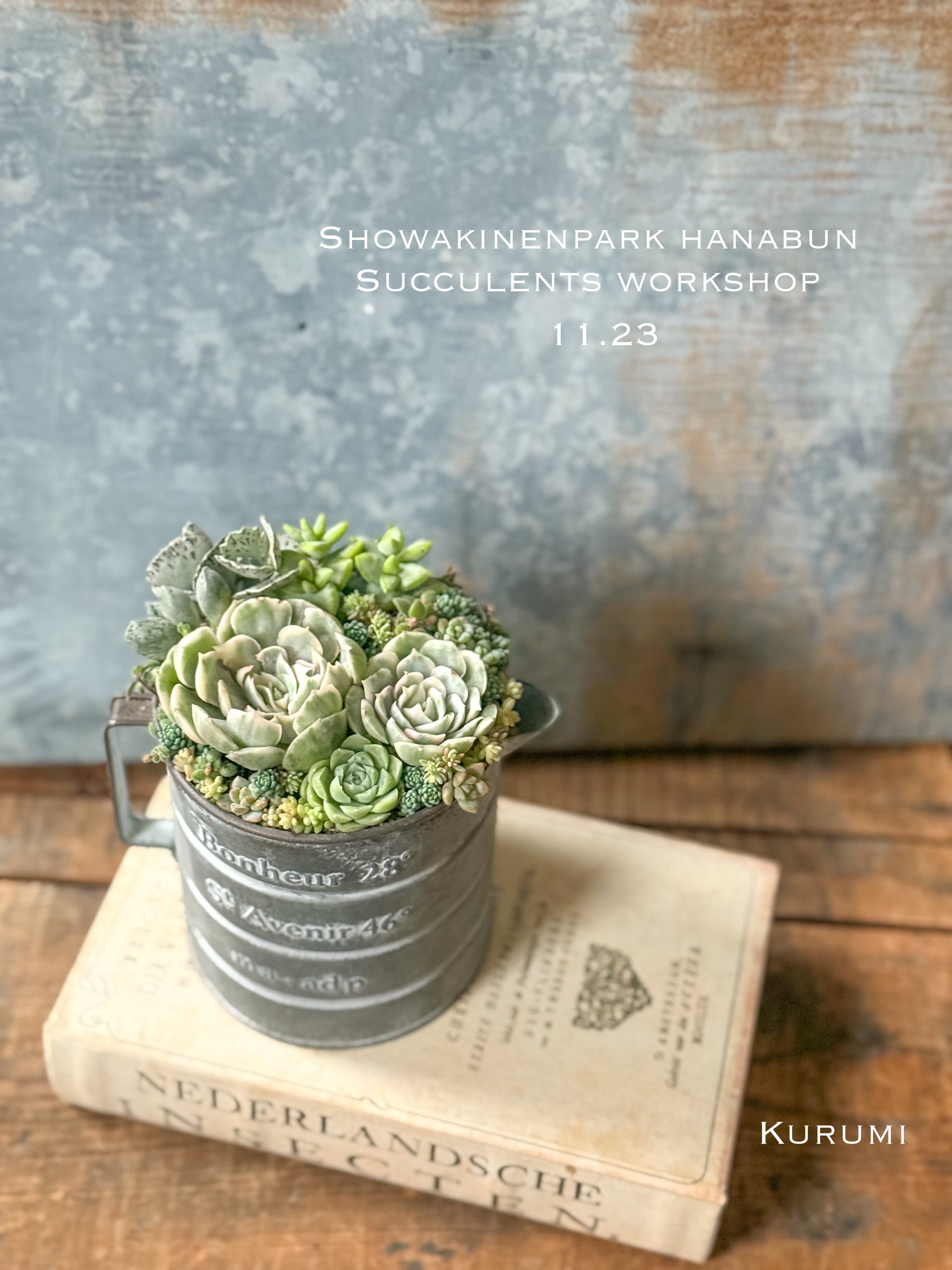 商品 – Kurumi Succulents