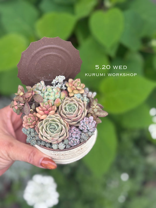5月20日　10時〜　Orange teatime WS
