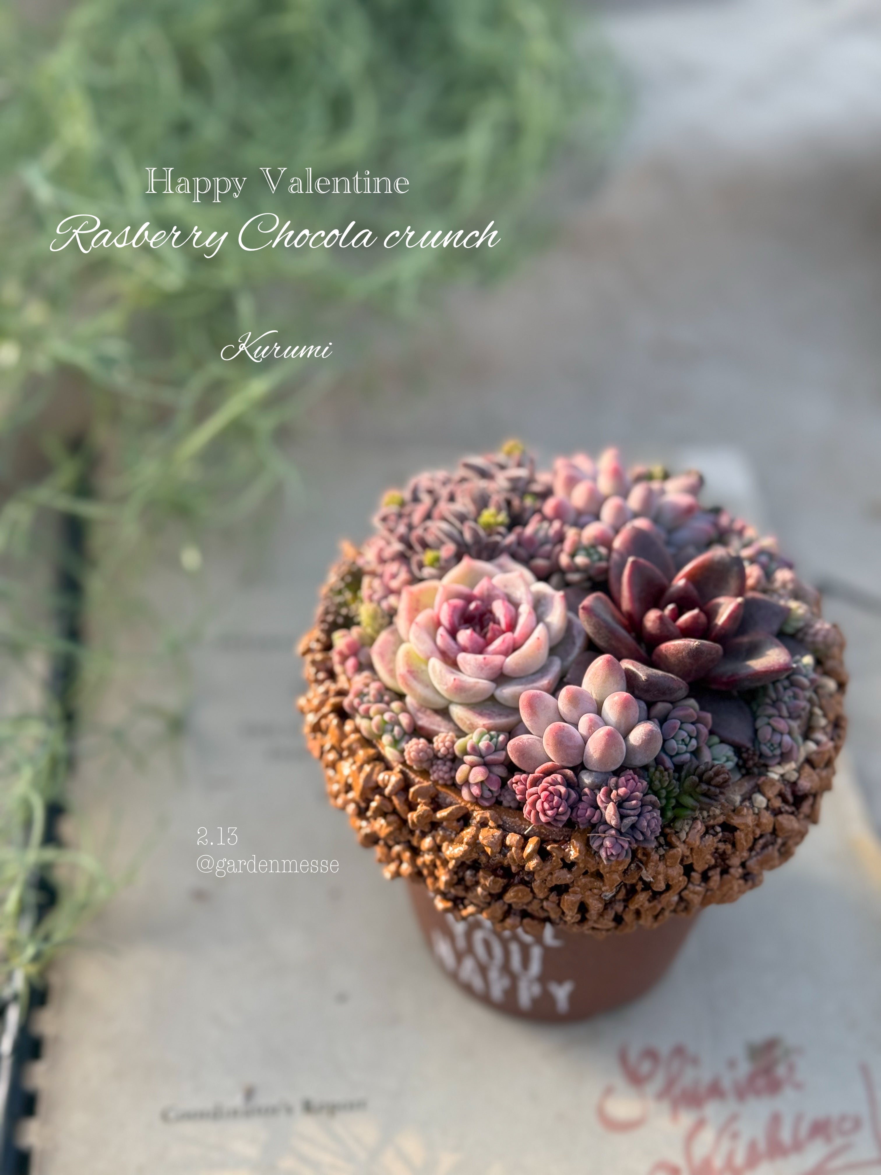 商品 – Kurumi Succulents