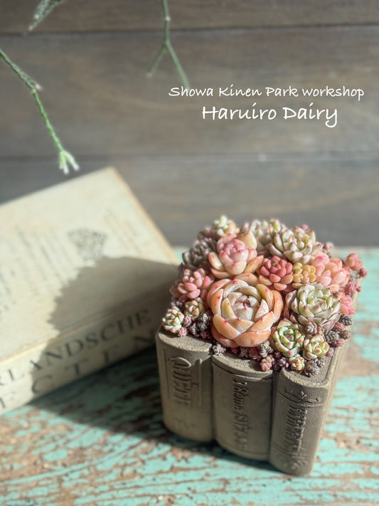 3月20日、21日　昭和記念公園WS  はるいろDAI RY